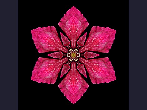 Terapias Tântricas para Mulheres em Blumenau